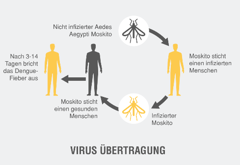 Dengue Fieber Infektion