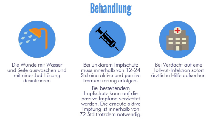 Tollwut Behandlung