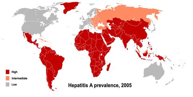 Hepatitis A Verbreitung